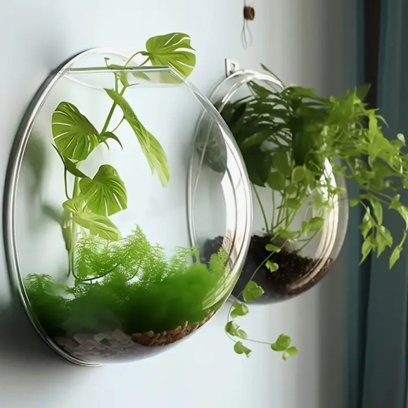 ❗️SOLD❗️2 (TWO) Wall-mounted Decorative Set, Hydroponic Plant Transparent - Picture 16 of 16